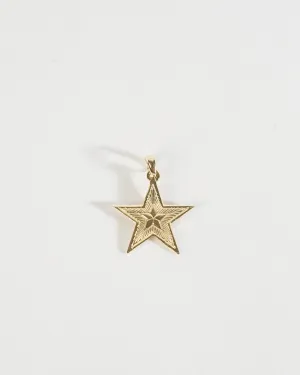 14k Gold Star Charm