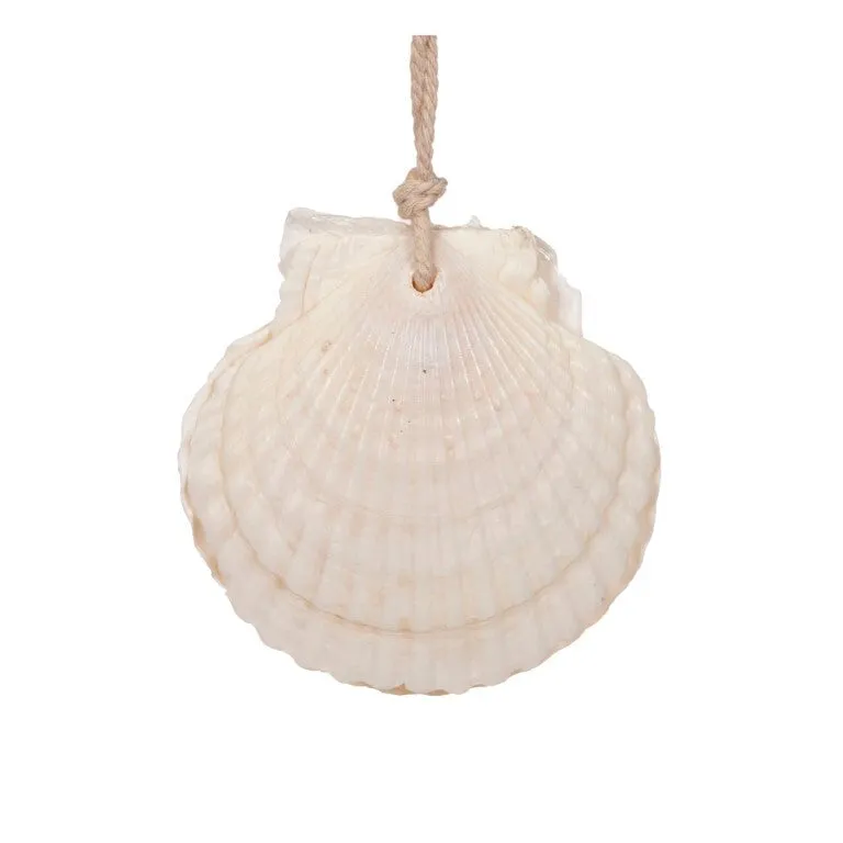 Clam Hanging 10cm