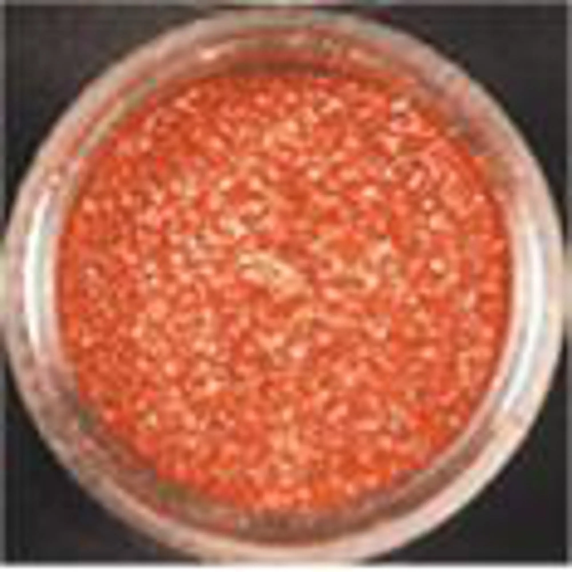 Copper Quasar Luster Powder Shaker.