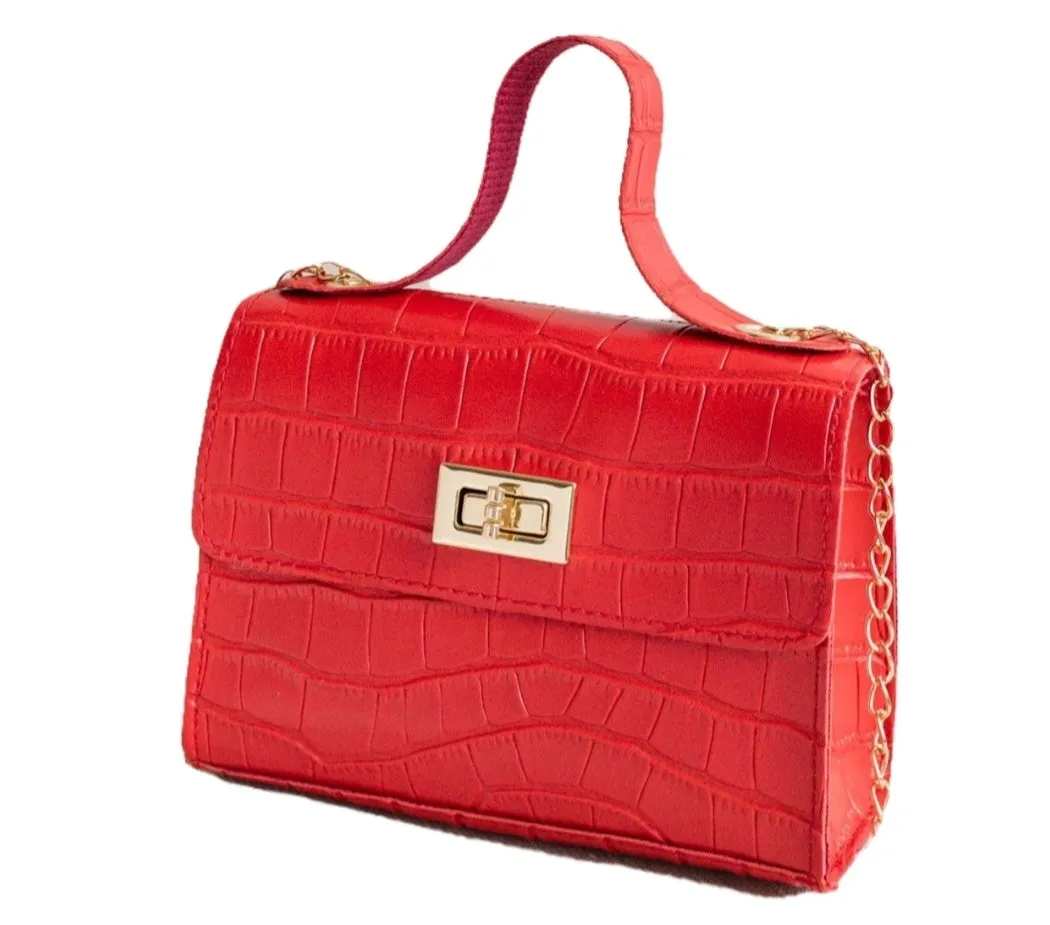 Frame Bag With Soft Loop Handle And Chain Shoulder Strap With Tourette Like Closure