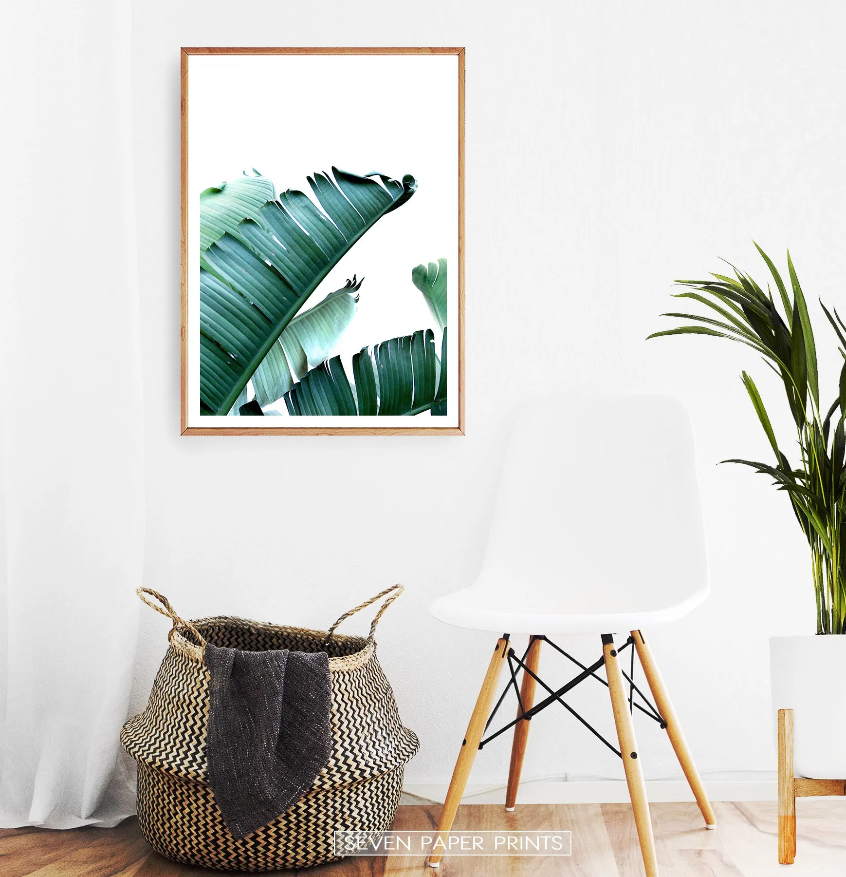 Green Banana Leaf Single Wall Art
