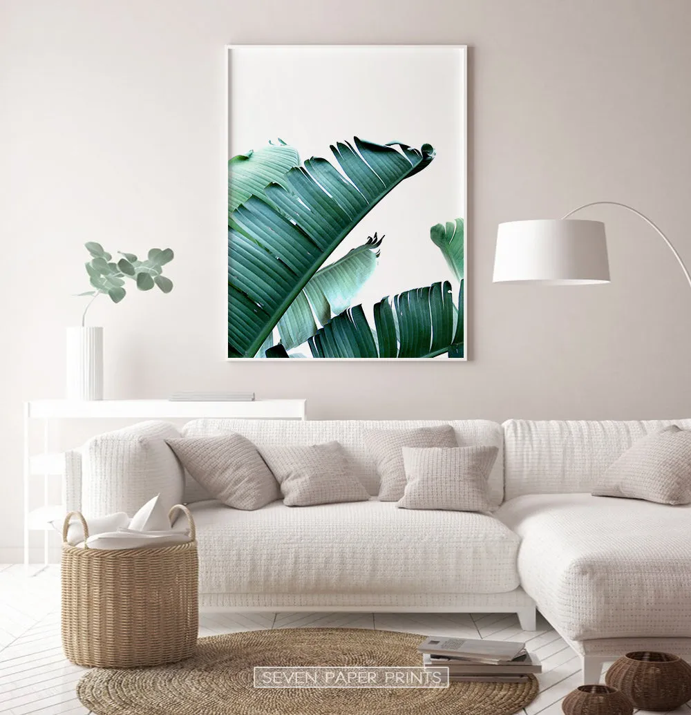 Green Banana Leaf Single Wall Art