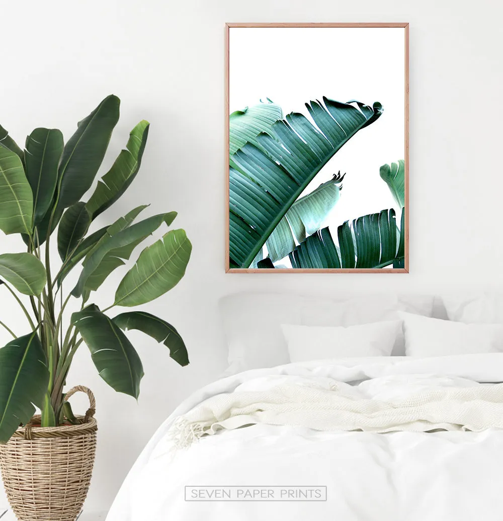 Green Banana Leaf Single Wall Art