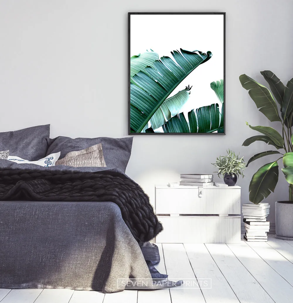 Green Banana Leaf Single Wall Art