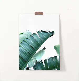 Green Banana Leaf Single Wall Art