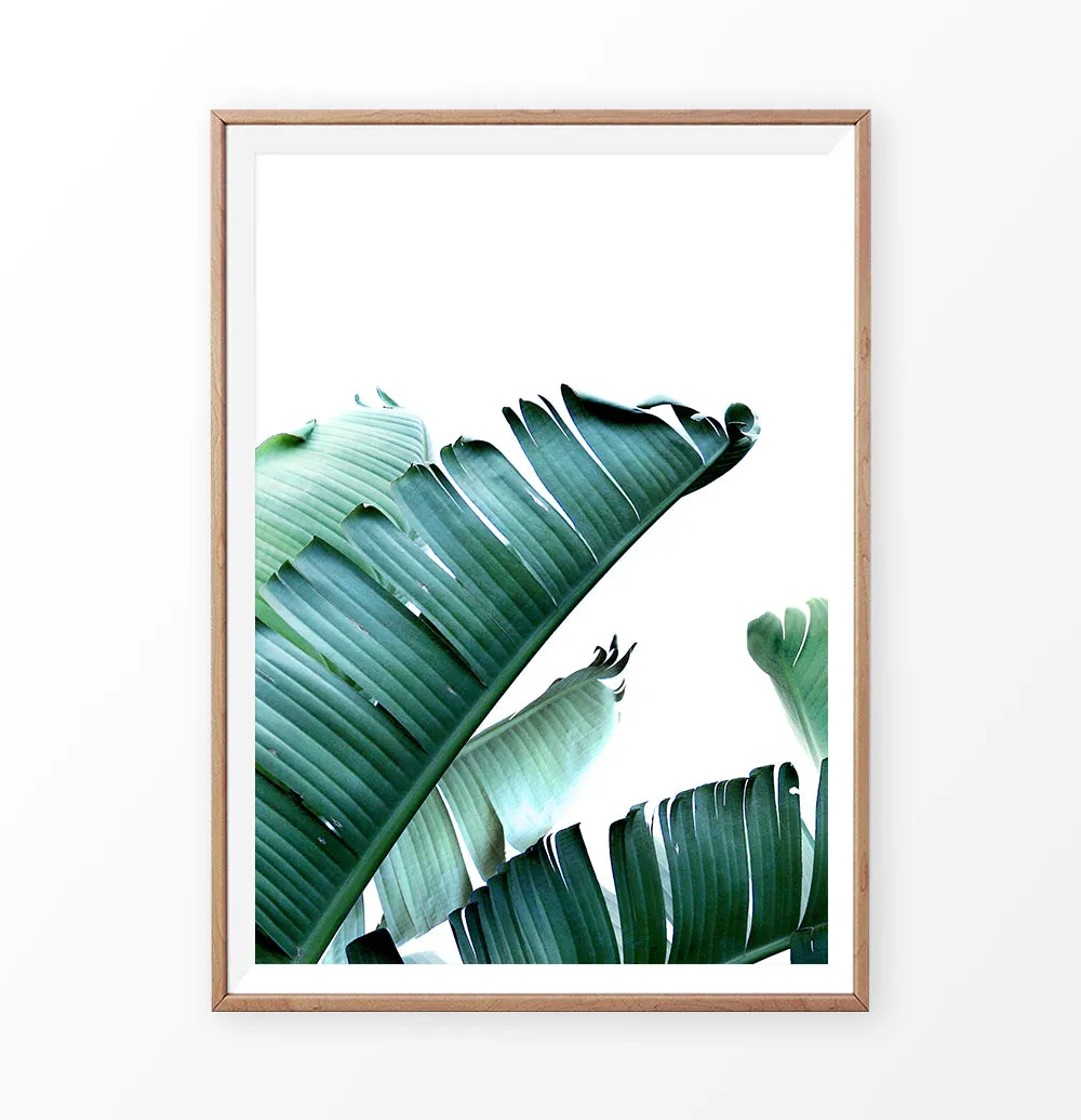 Green Banana Leaf Single Wall Art
