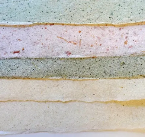 Kozo Vegetable Paper Turnip