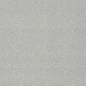 Presta Printed Nylon Carpet, Ash Get Cfa