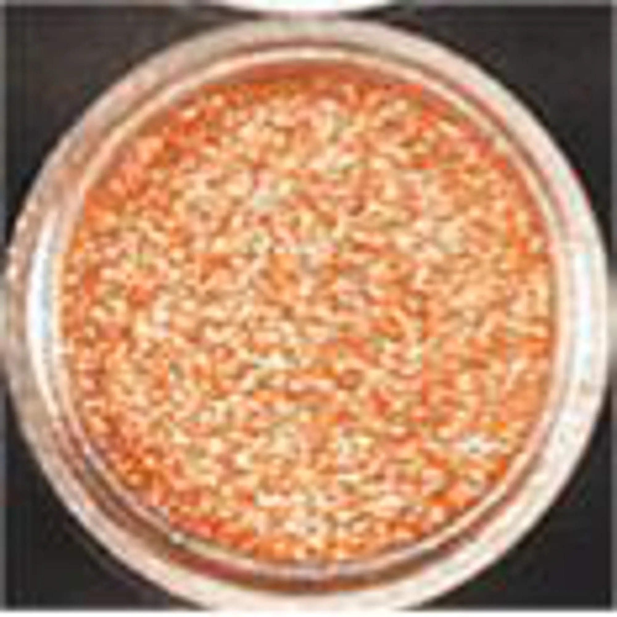 "Luster Powder Shaker - Bronze Sun"