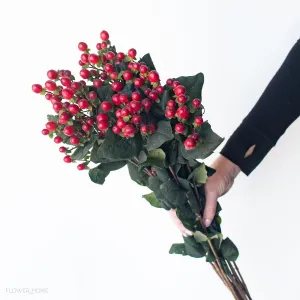 Red Hypericum Berries