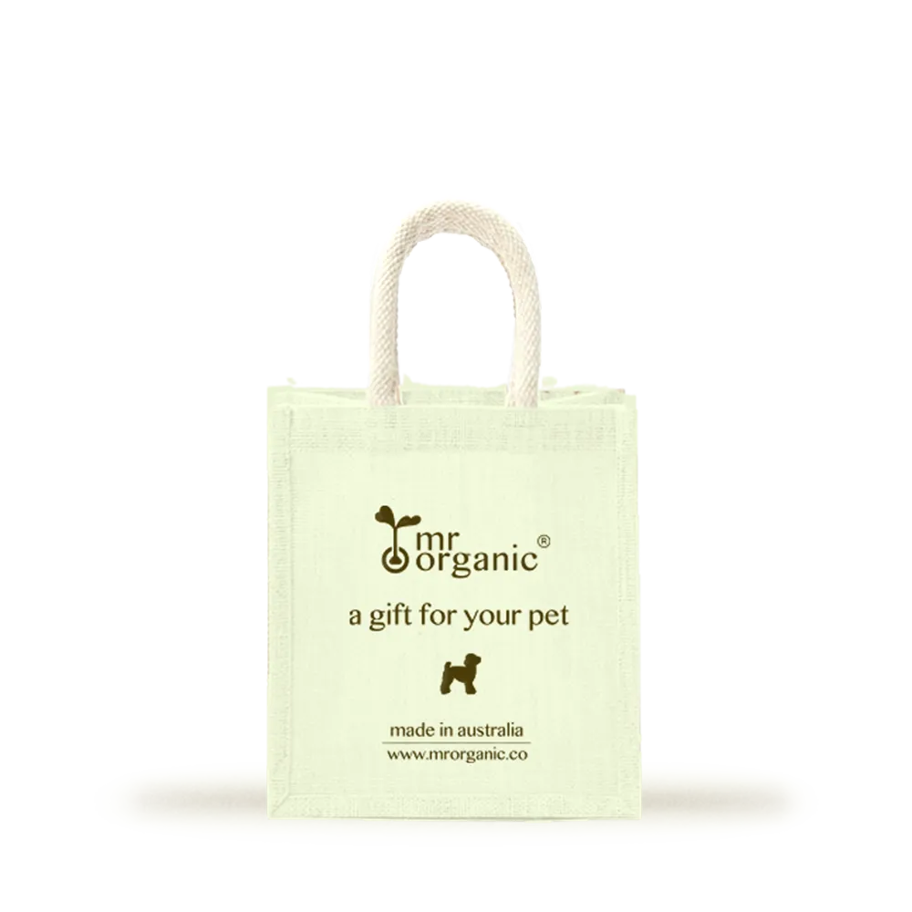 Small Shopping bag  20 x 12 x 8cm 小帆布購物袋 20 x 12 x 8cm