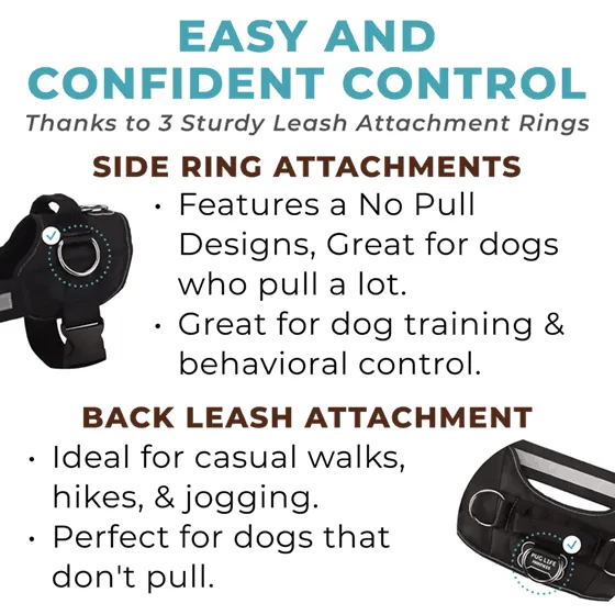 Star Pink Joyride Basic Essential Dog Harness 1.0