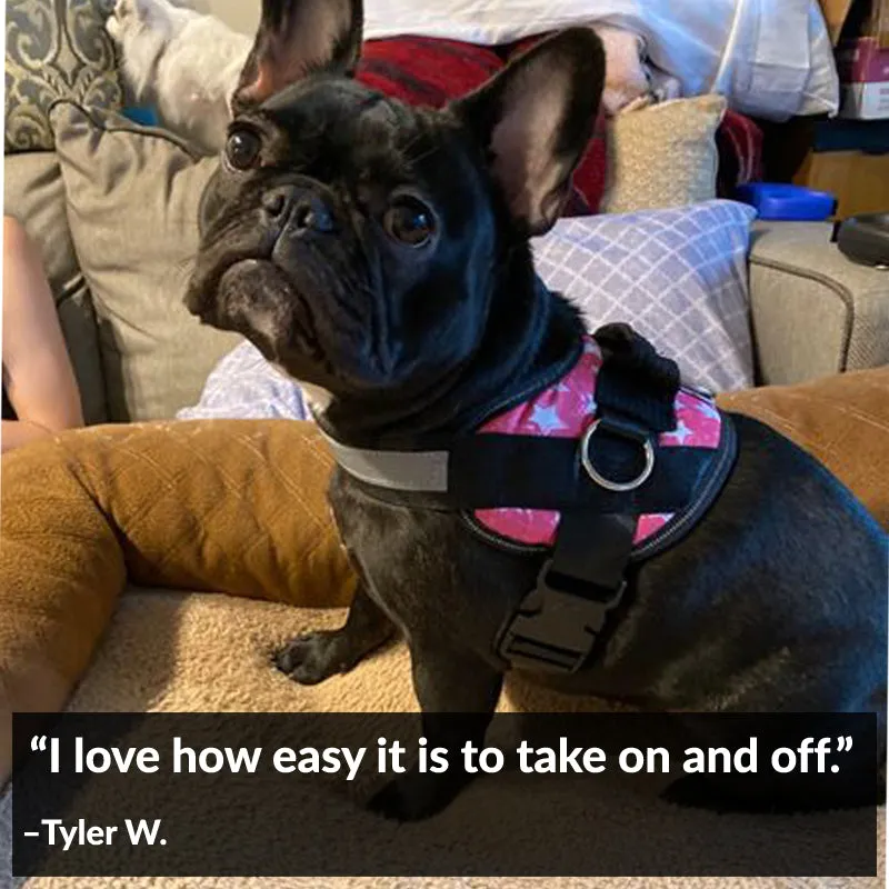 Star Pink Joyride Basic Essential Dog Harness 1.0