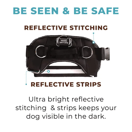 Star Pink Joyride Basic Essential Dog Harness 1.0