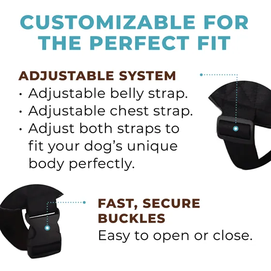 Star Pink Joyride Basic Essential Dog Harness 1.0