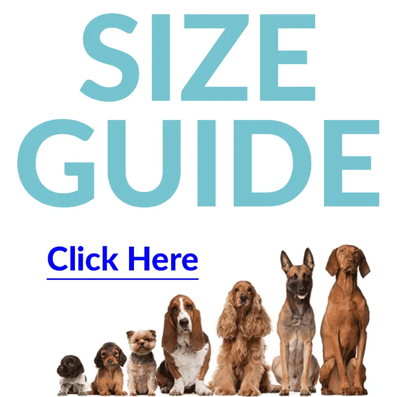 Star Pink Joyride Basic Essential Dog Harness 1.0