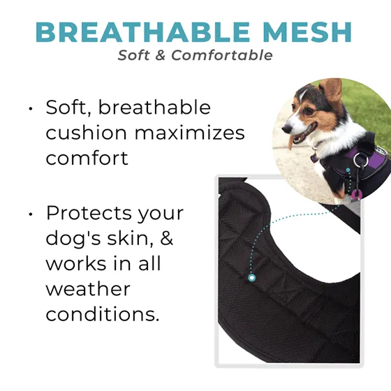 Star Pink Joyride Basic Essential Dog Harness 1.0