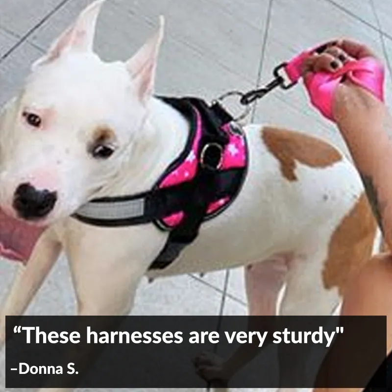 Star Pink Joyride Basic Essential Dog Harness 1.0