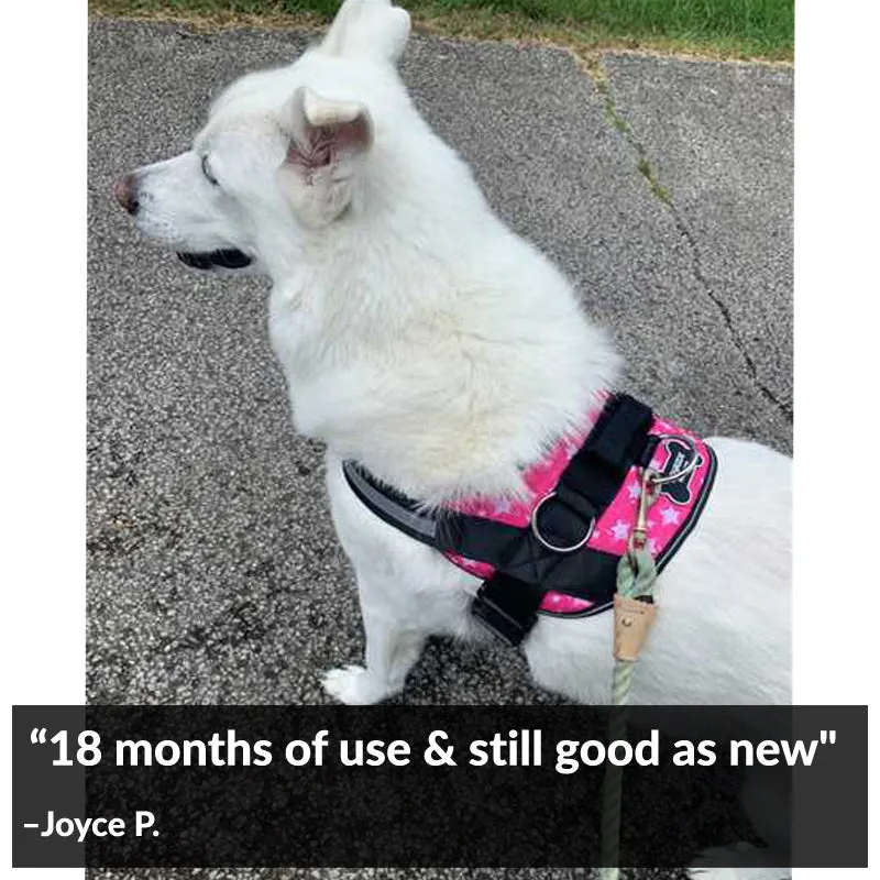 Star Pink Joyride Basic Essential Dog Harness 1.0