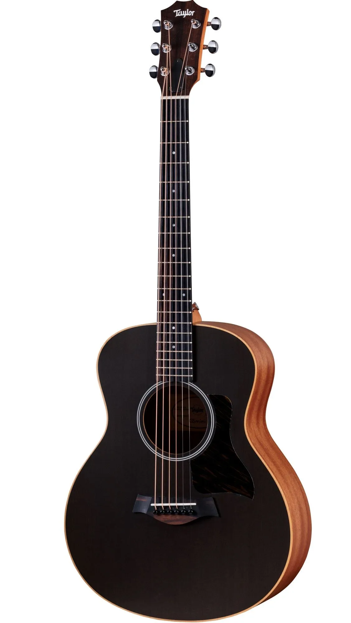 Taylor GS Mini Art Top Acoustic Guitar - Transparent Black