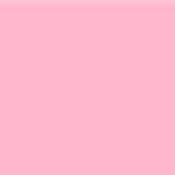 Vegan Blush Stick | Bloom